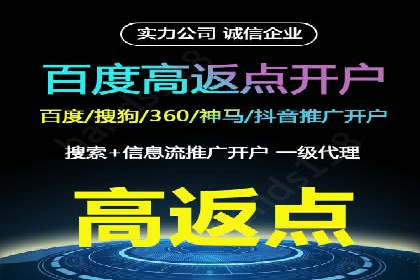 百度竞价包年服务：某行业领导品牌的成功故事